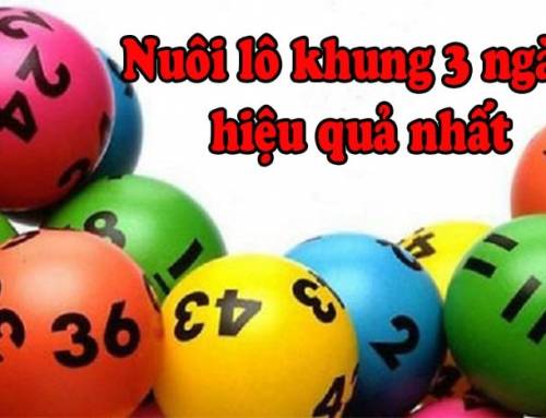 Bật M&iacute; C&aacute;ch Nu&ocirc;i L&ocirc; 3 Ng&agrave;y Hiệu Quả Dễ Tr&uacute;ng Nhất