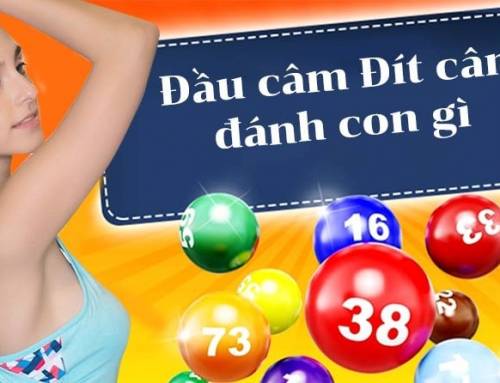 Hướng Dẫn Khi Đ&iacute;t 8 C&acirc;m Đ&aacute;nh Con G&igrave; Dễ Tr&uacute;ng Nhất